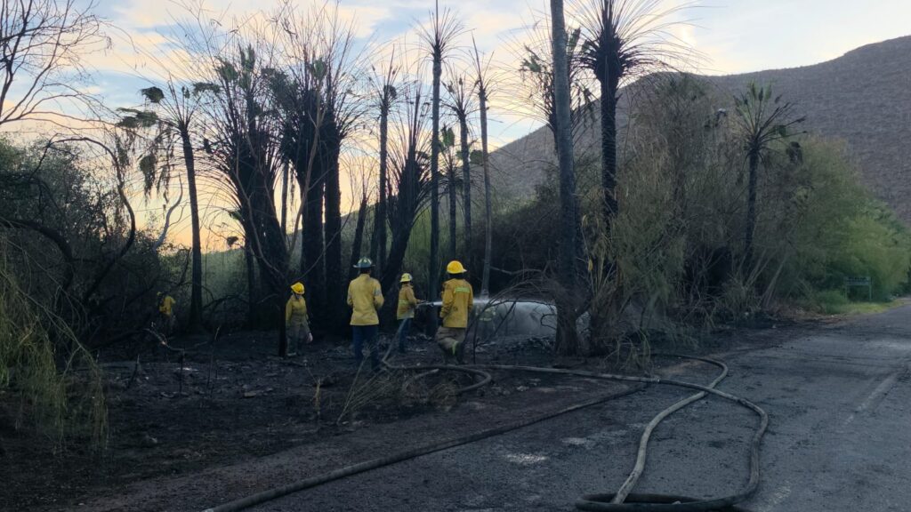 Provocan incendios forestales en Miramar y el Tular 5 236