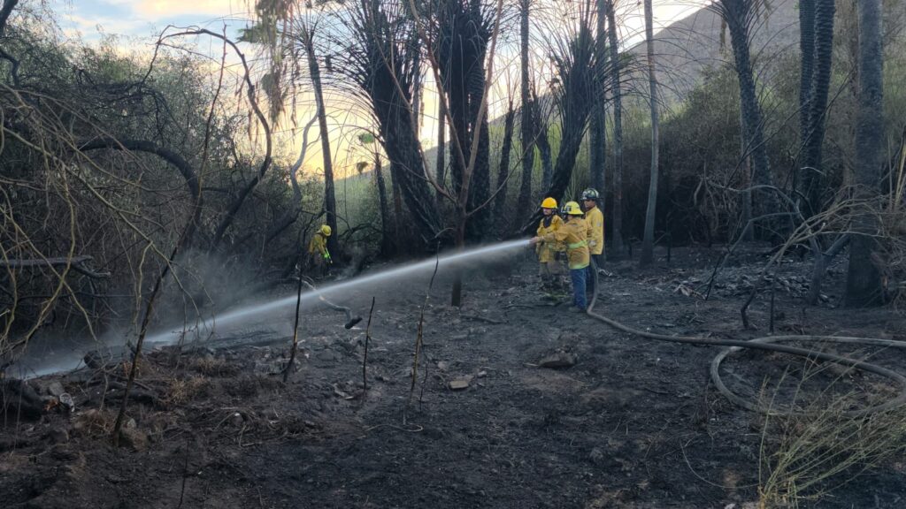 Provocan incendios forestales en Miramar y el Tular 6 237