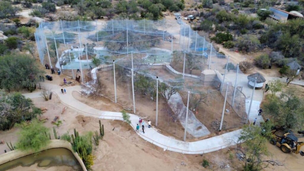 Gobernador Durazo impulsa obras clave de infraestructura y medio ambiente; avanza Parque Ostimuri y carretera a Kino 2 296