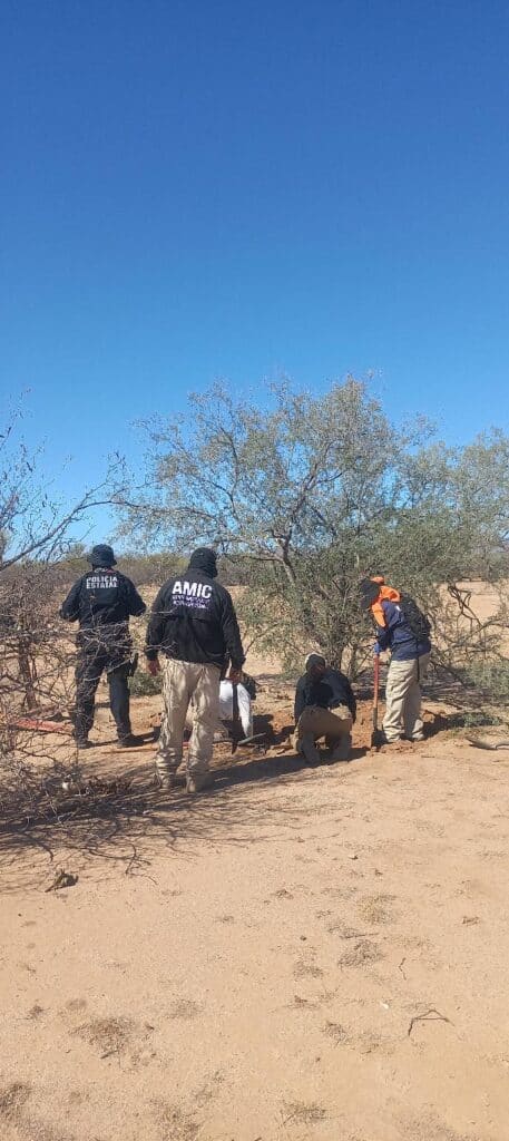 Hallan cinco cuerpos en fosas clandestinas 4 298