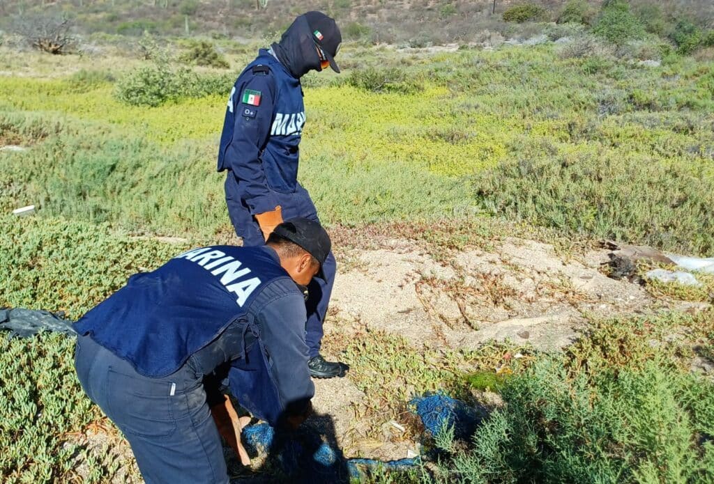Retiran 1.5 toneladas de basura en bahía Catalina 1 88