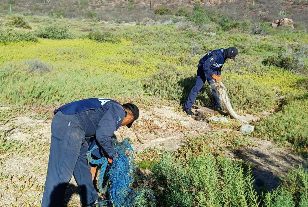 Retiran 1.5 toneladas de basura en bahía Catalina 2 89