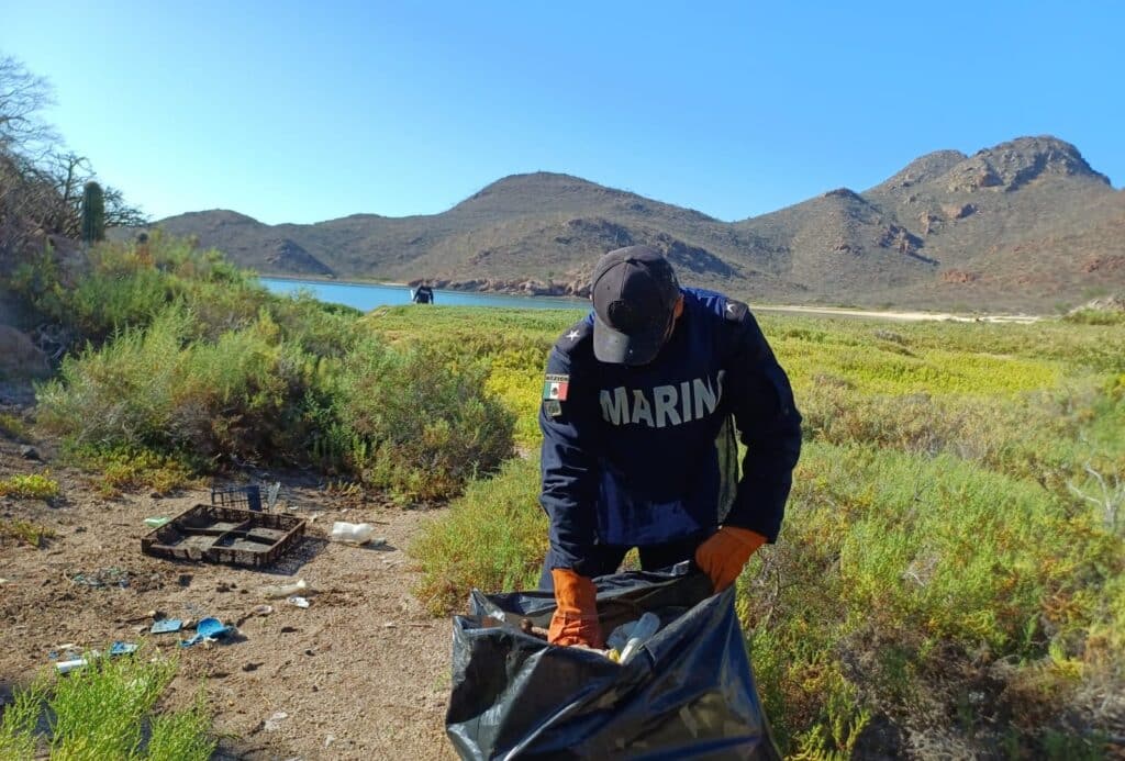 Retiran 1.5 toneladas de basura en bahía Catalina 3 90