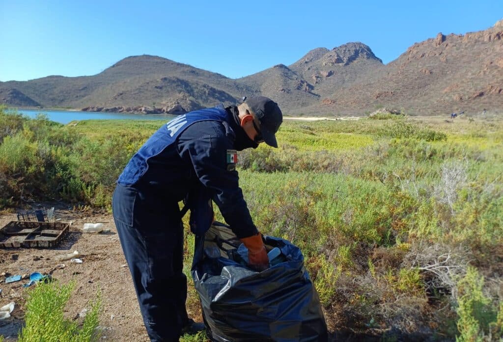 Retiran 1.5 toneladas de basura en bahía Catalina 4 91