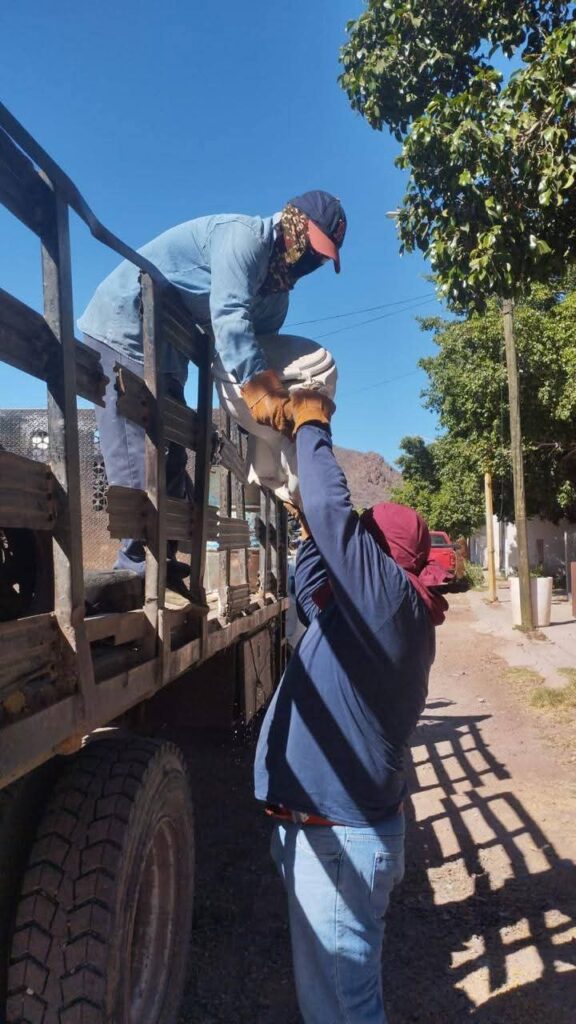 Sigue descacharre en Guaymas 1 FB_IMG_1779495970623