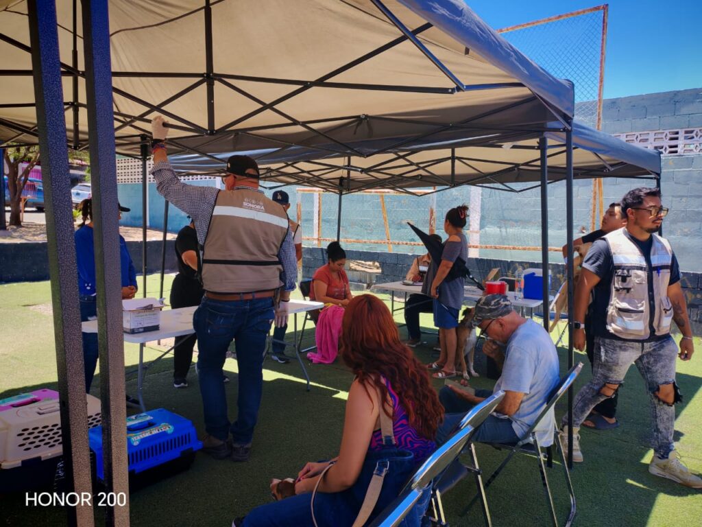 IMG-20260515-WA0118