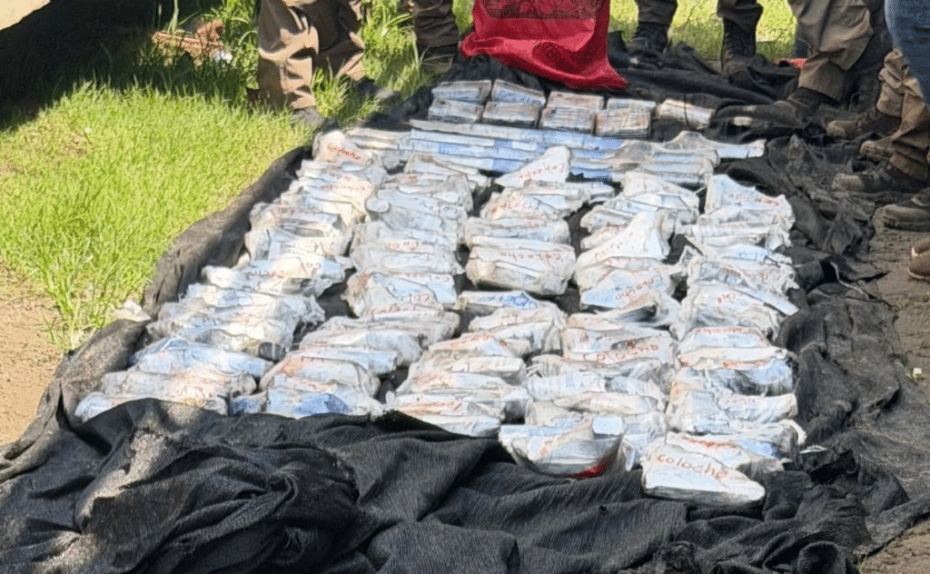 Armas y droga son incautadas en pensión de Tapachula 1 Armas