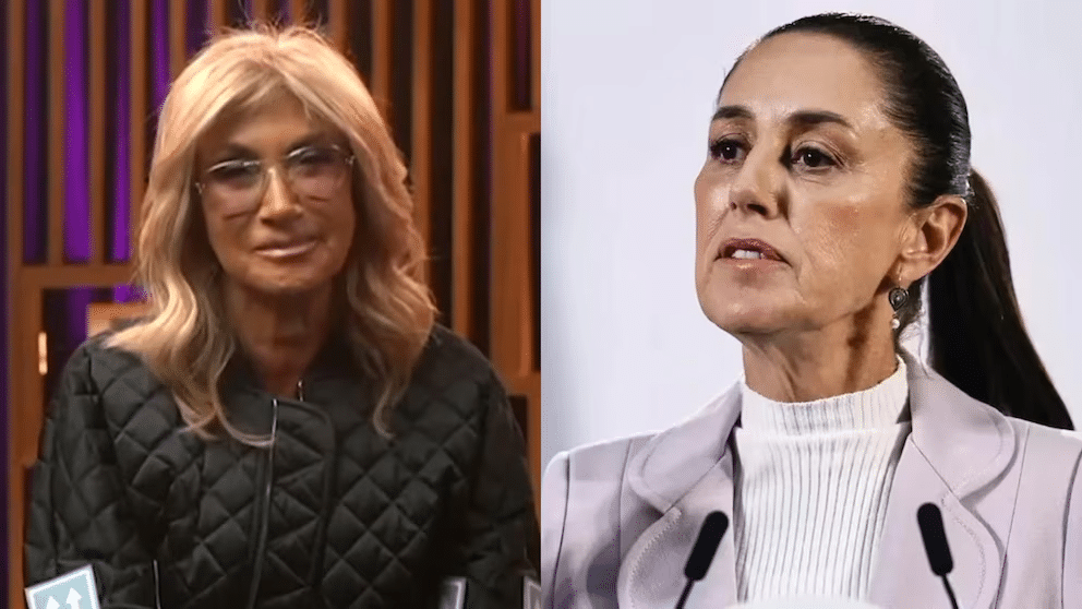 Adela Micha usa el sarcasmo ante dichos de la presidenta 1 Adela
