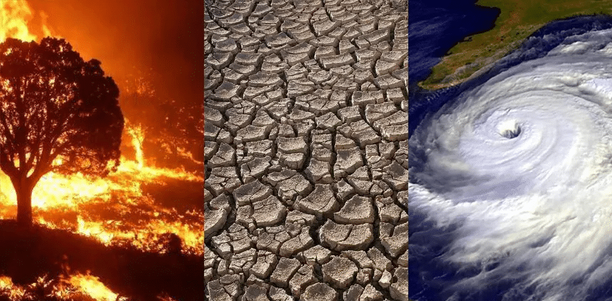 Científicos alertan por impacto del calor extremo 1 image