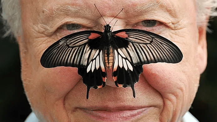David Attenborough celebra un siglo de vida dedicado a la divulgación de la naturaleza