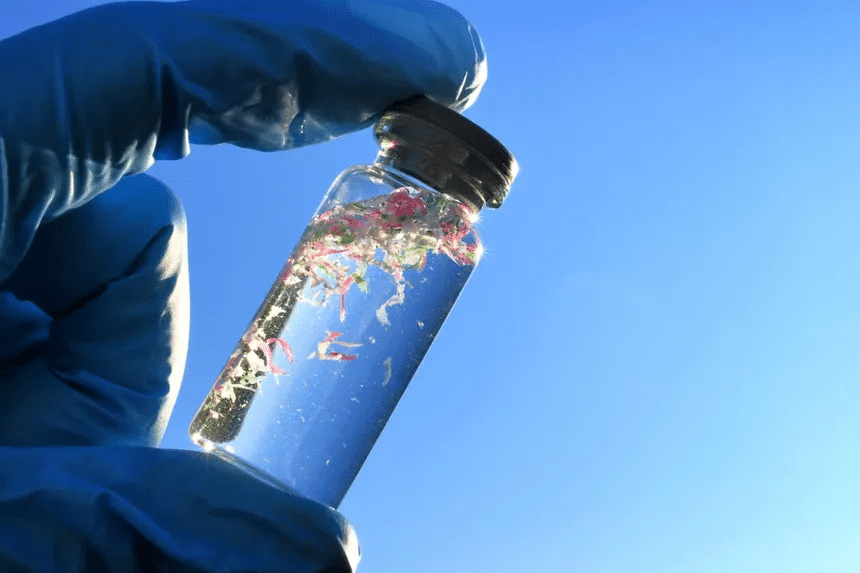Investigadores de la UASLP detectan microplásticos en sangre y pulmones humanos