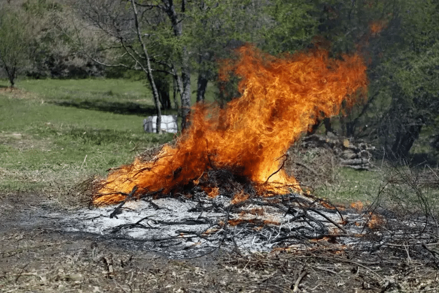 El uso de fuego controlado se consolida como una estrategia rentable y efectiva para prevenir incendios devastadores