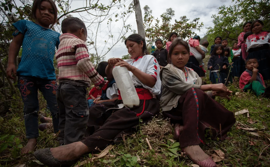 Chiapas enfrenta una grave crisis de violencia sostenida 1 Chiapas