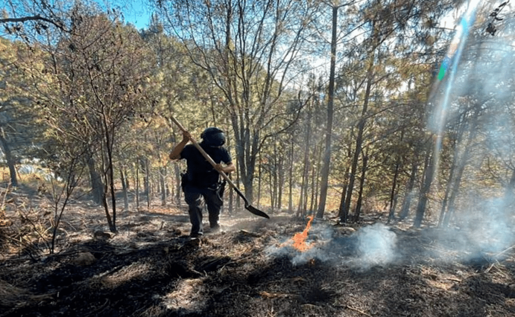 Puebla destruye hornos clandestinos contra tala ilegal 1 Puebla