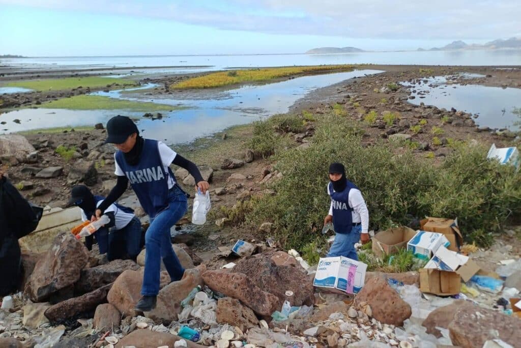 Retiran más de 20 toneladas de basura en el “Estero el Rancho” 1 133