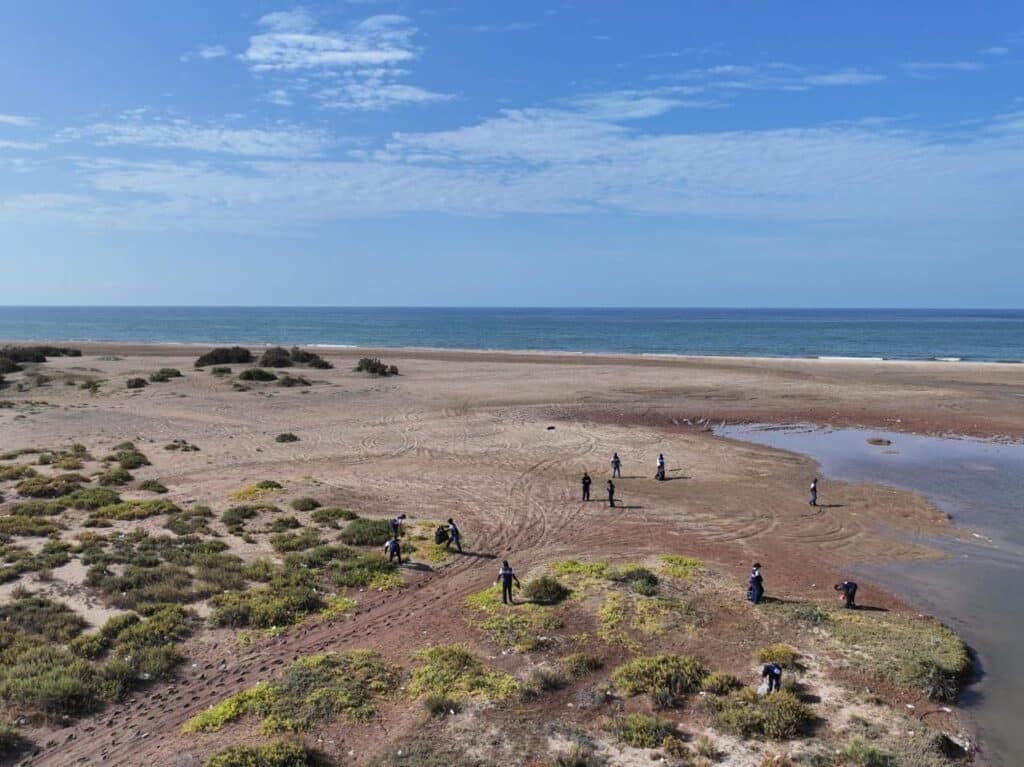 Limpia Semar playa el Cochorit 2 271