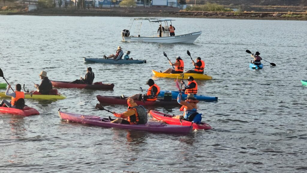 Realizan “Festival del Mar” en la bahía de Guaymas 3 321
