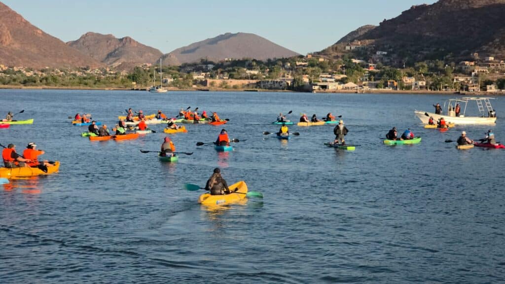 Realizan “Festival del Mar” en la bahía de Guaymas 4 322