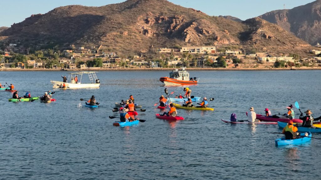 Realizan “Festival del Mar” en la bahía de Guaymas 5 323