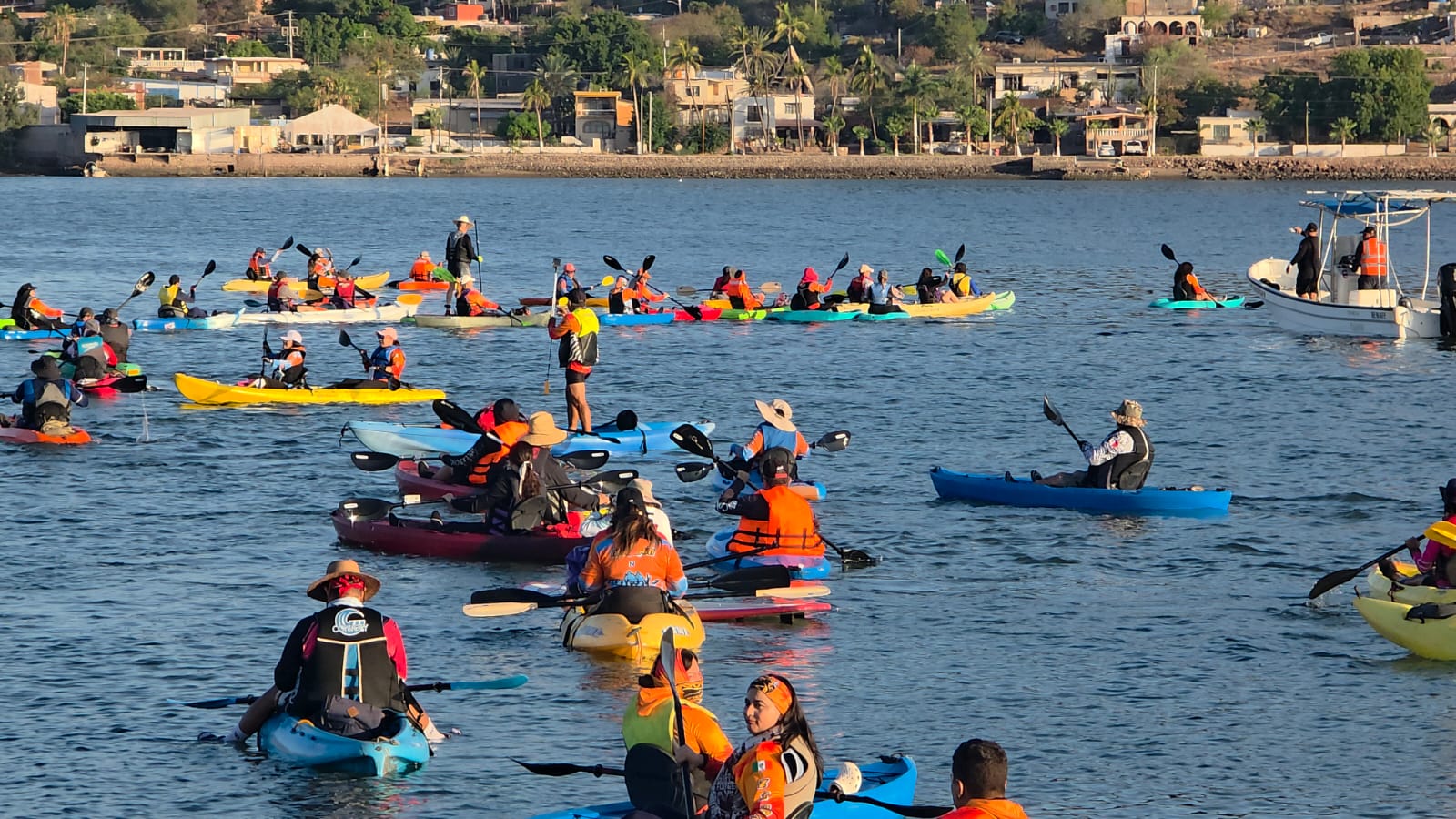 Realizan “Festival del Mar” en la bahía de Guaymas