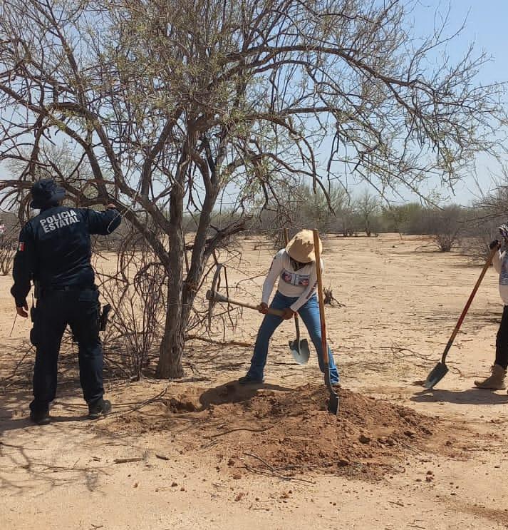 Suman 32 osamentas localizadas en el ejido Graciano Sánchez 1 371