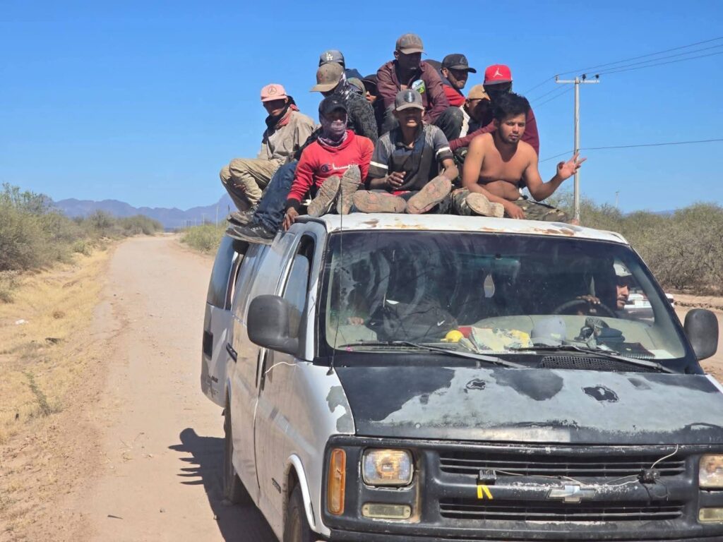 Pone chófer en riesgo a trabajadores agrícolas 1 389