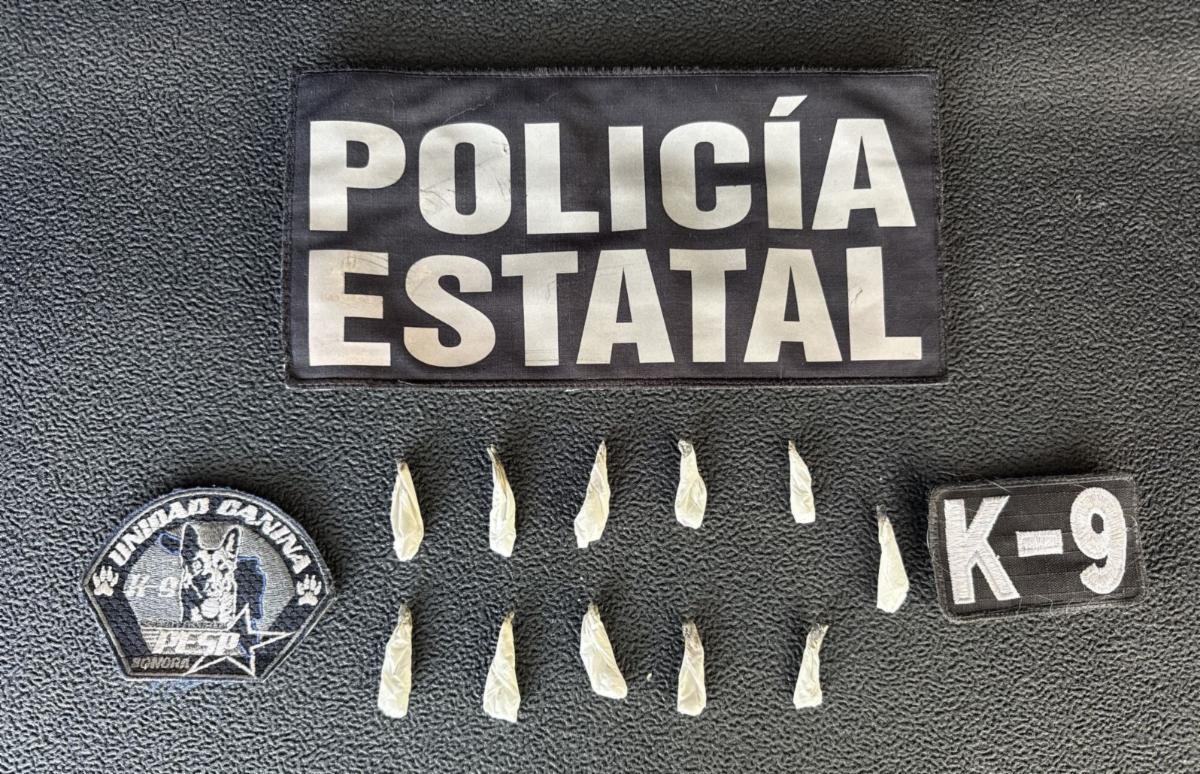 Entrenamiento y precisión de la Unidad K-9 de la PESP dan resultados en operativo preventivo