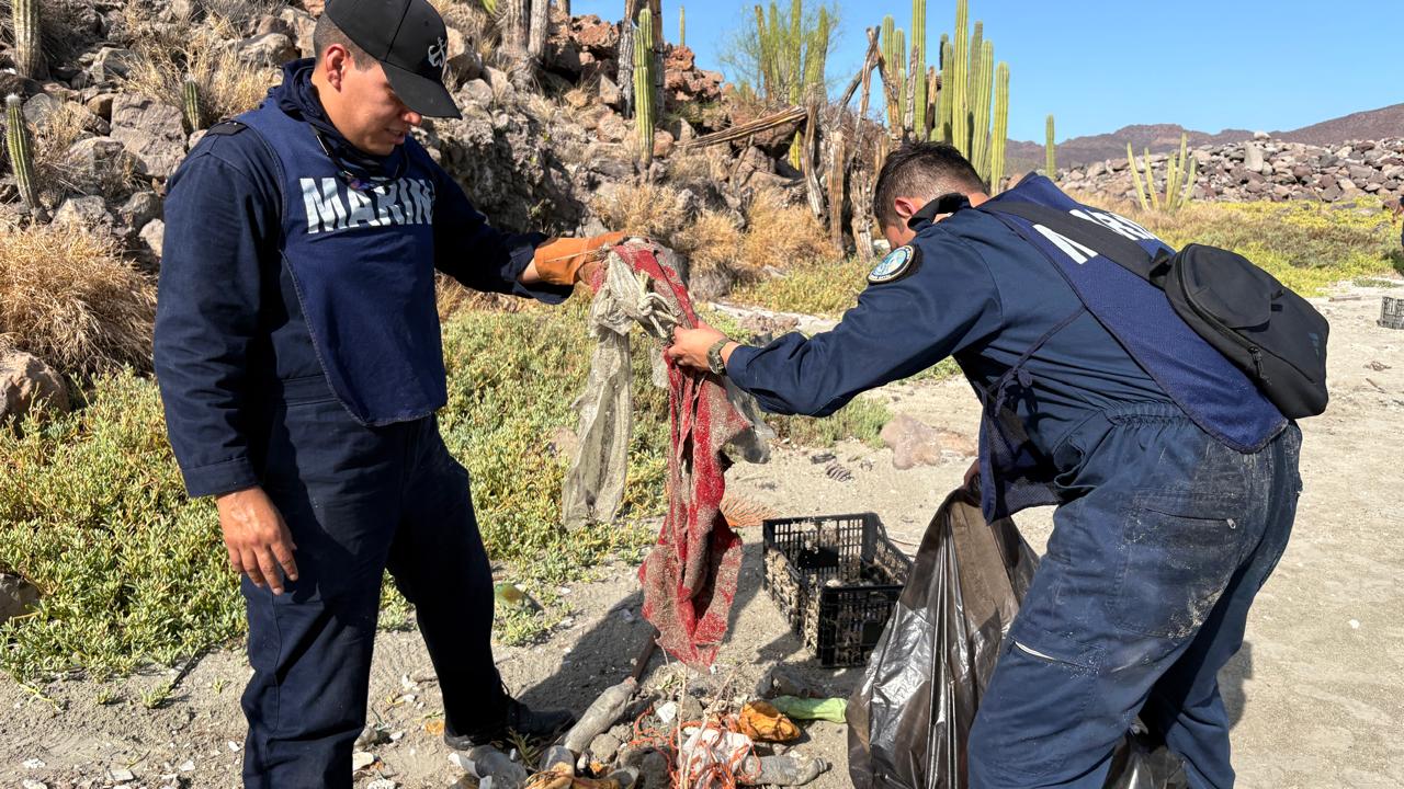 Realiza Semar saneamiento en isla Pájaros