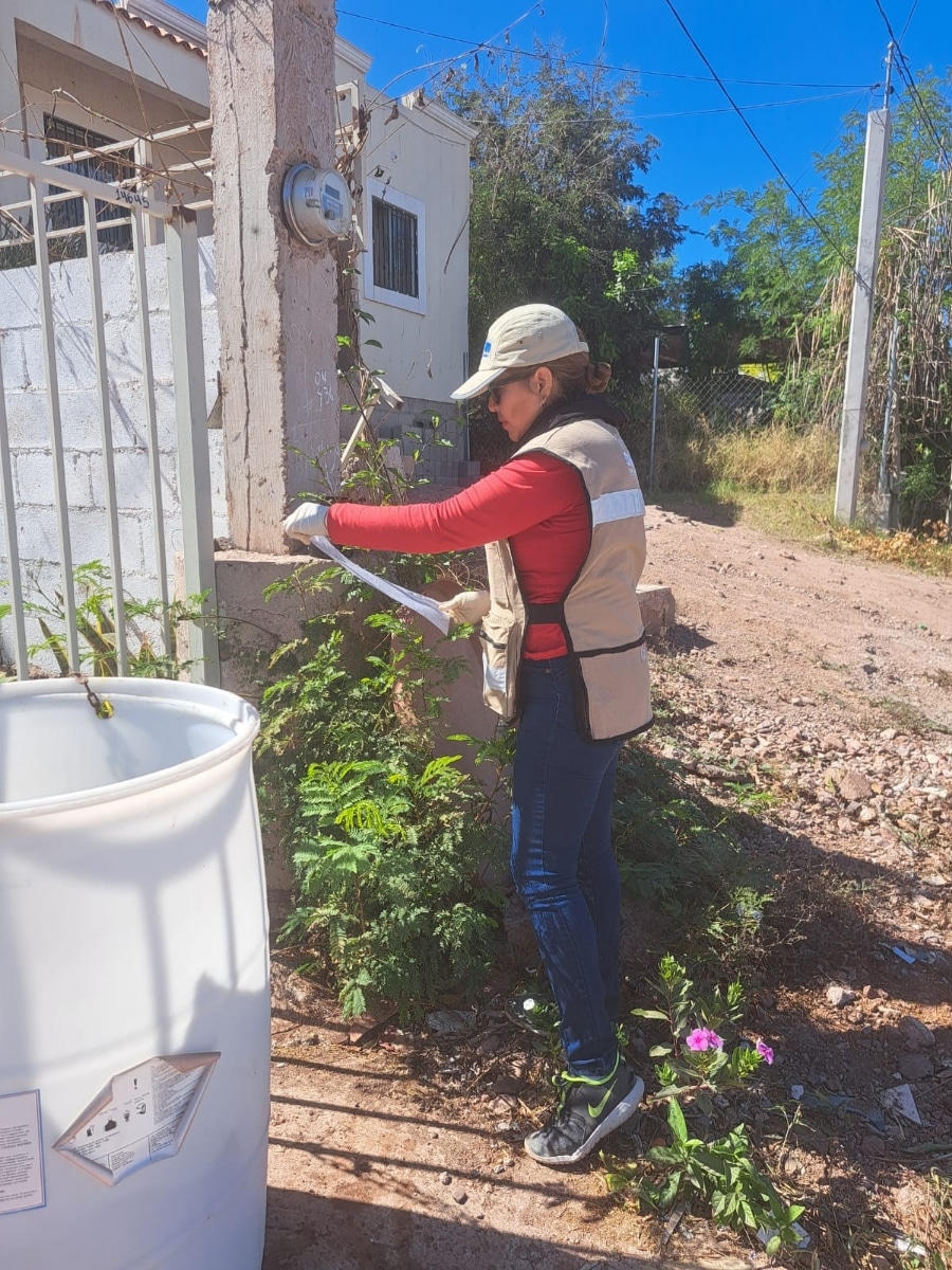 Refuerza Salud Sonora prevención del dengue mediante ovitrampas