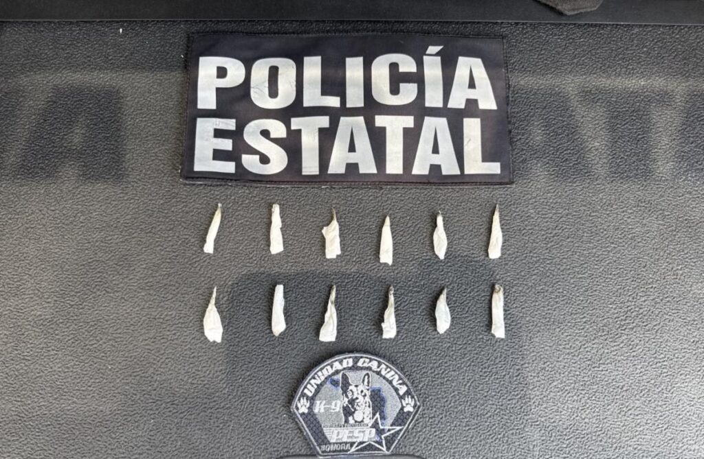 Unidad K-9 de la PESP fortalece acciones de seguridad en Hermosillo 1 628