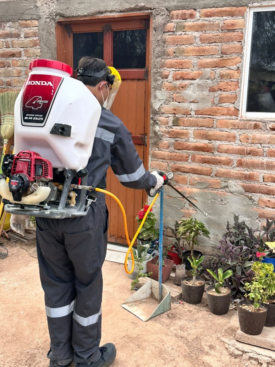 Refuerza Salud Sonora acciones contra la rickettsia con más de 2 mil 600 fumigaciones