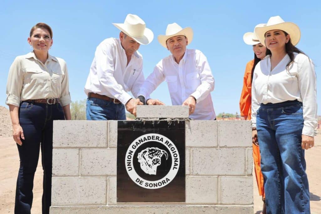 Respiro para ganadería: arranca Durazo obra estratégica para industrialización de la carne sonorense 2 678