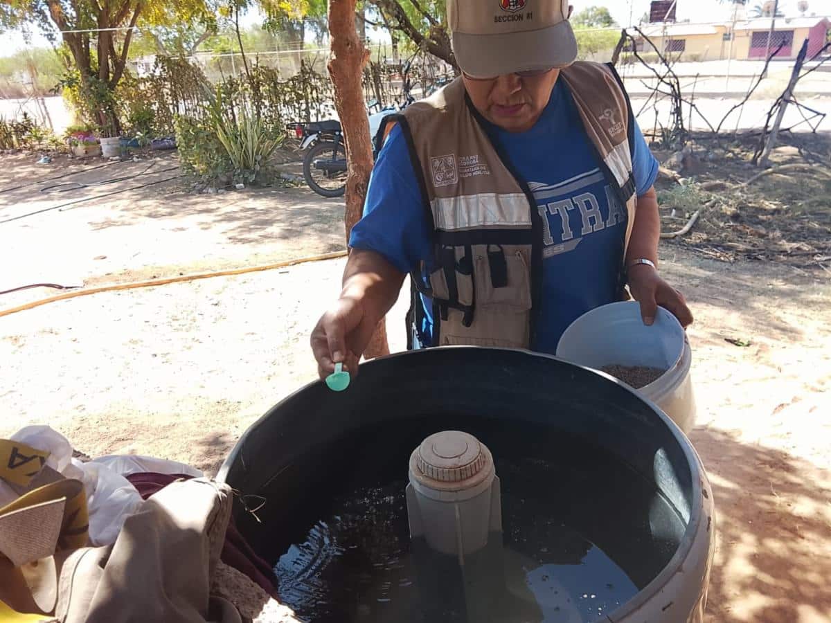 Refuerza Salud Sonora combate al dengue con fumigación de más de 65 mil hectáreas