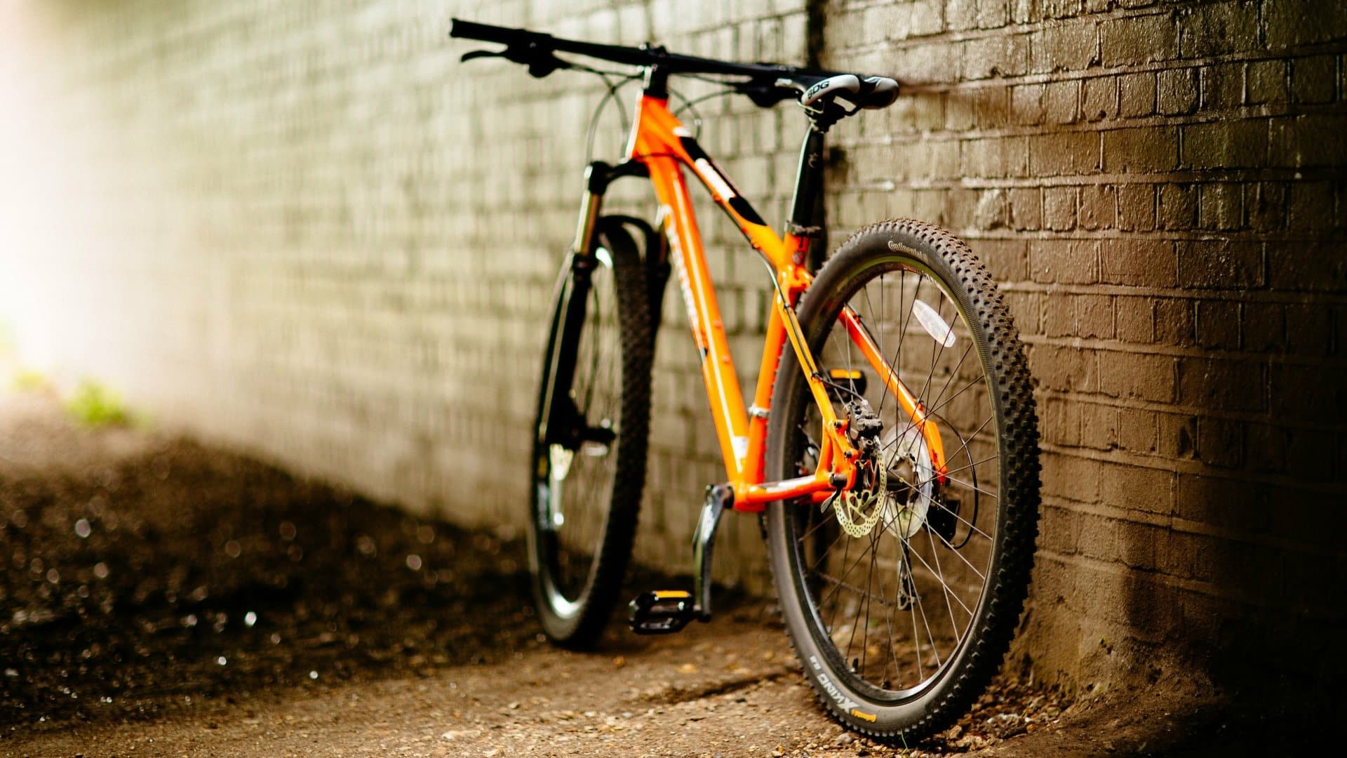 Recupera su bicicleta y detienen a joven por alterar el orden