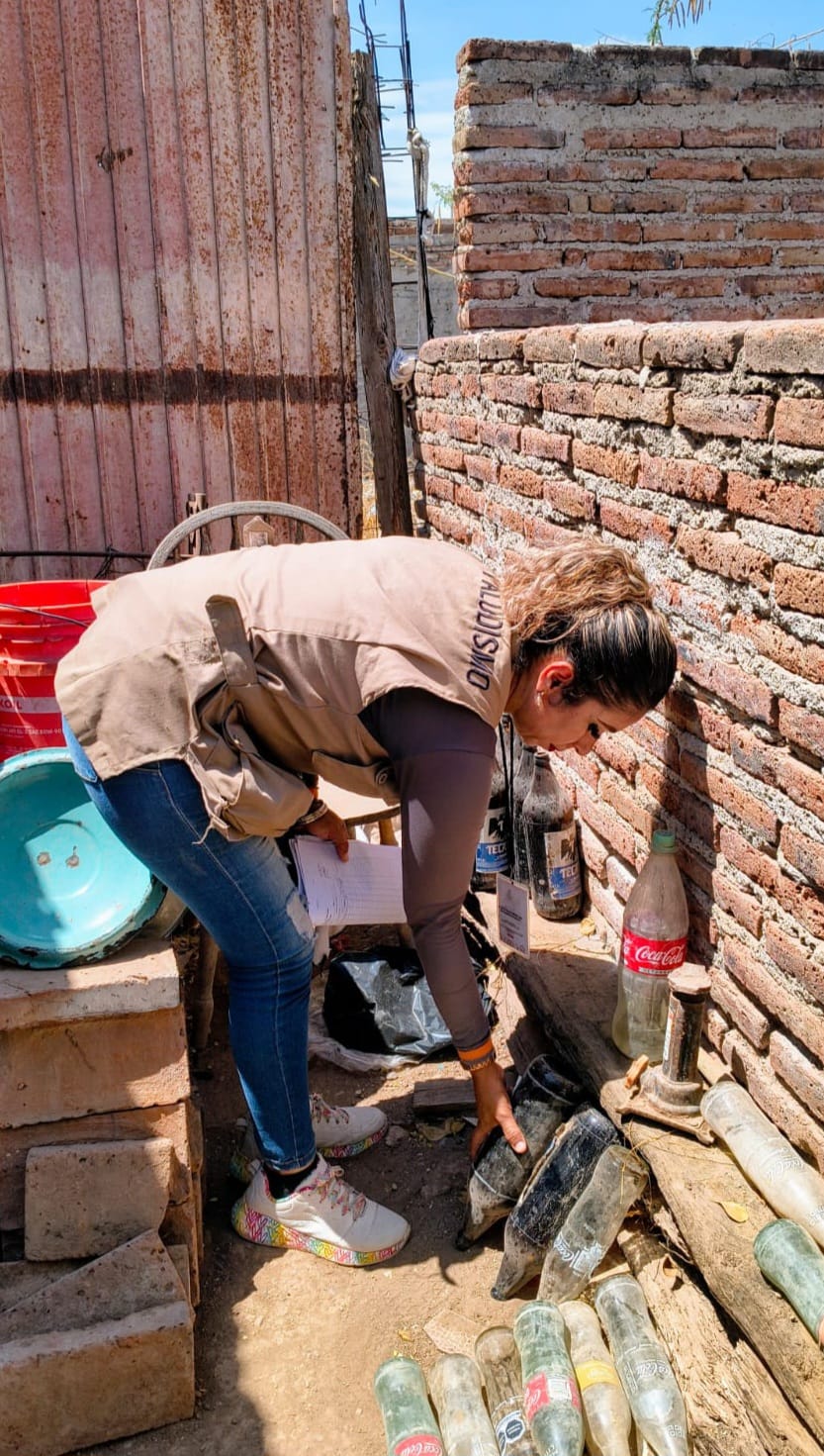 Llama Salud Sonora a reforzar medidas preventivas contra el dengue tras las lluvias