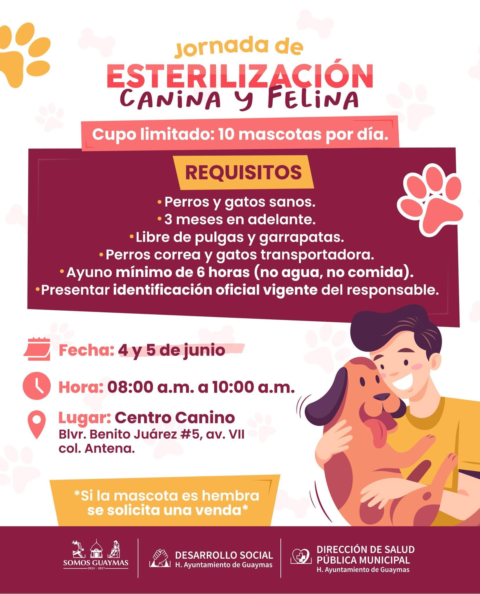 Siguen esterilizaciones gratuitas en Guaymas