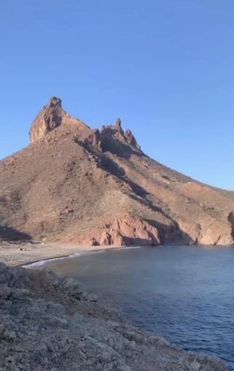 Reportan avistamiento de tiburones en San Carlos