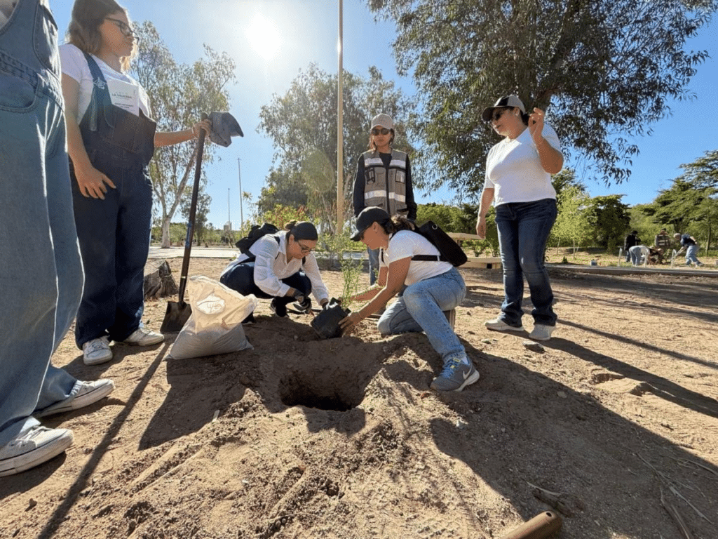Gobierno de Sonora promueve actividades culturales, ambientales y recreativas en el Bosque Urbano La Sauceda 1 image