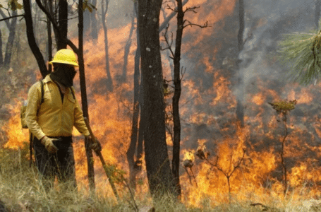 Incendios