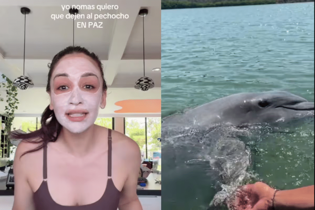 Daniela Rodrice defiende al delfín El Pechocho en Sinaloa 1 image