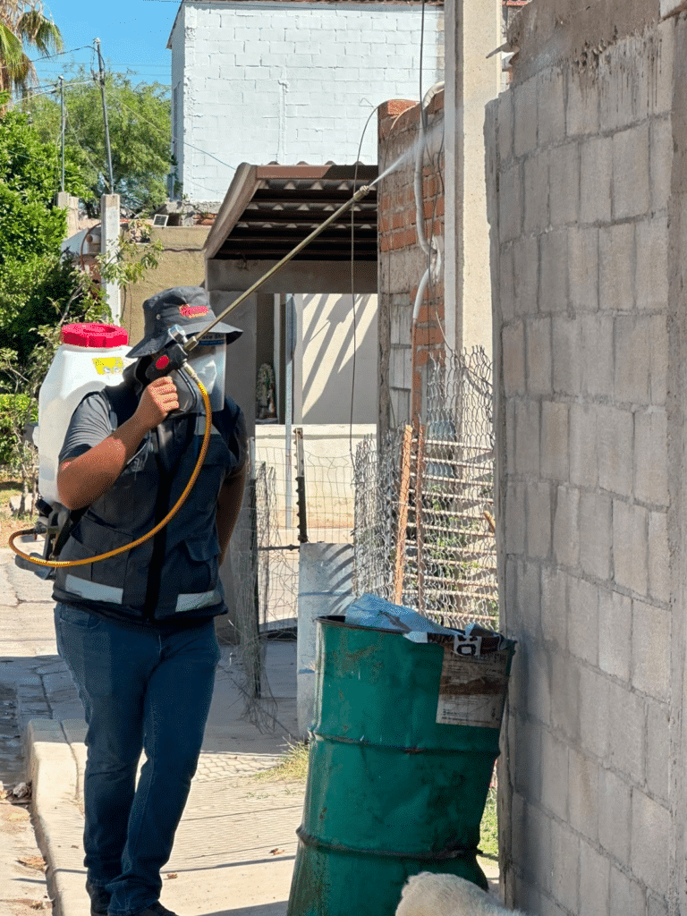 Refuerza Salud Sonora acciones preventivas contra la rickettsia en más de 340 colonias 1 image