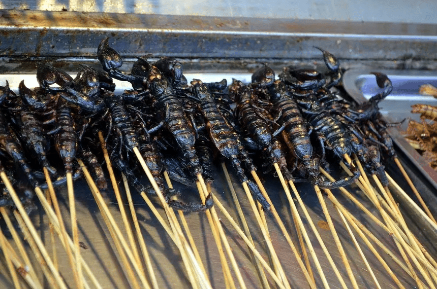 El rechazo a comer insectos tiene raíces biológicas 1 image