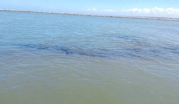 Pescadores denuncian mancha de crudo en el río Pánuco; Pemex niega presencia de hidrocarburos 1 image