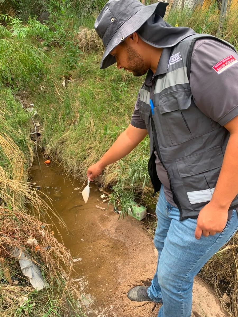 Salud Sonora exhorta a eliminar criaderos de mosquitos tras las lluvias registradas en el estado
