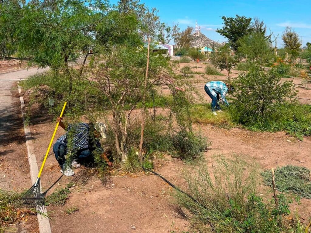 Gobierno de Sonora promueve la educación ambiental y la convivencia en el Bosque Urbano La Sauceda 1 1072