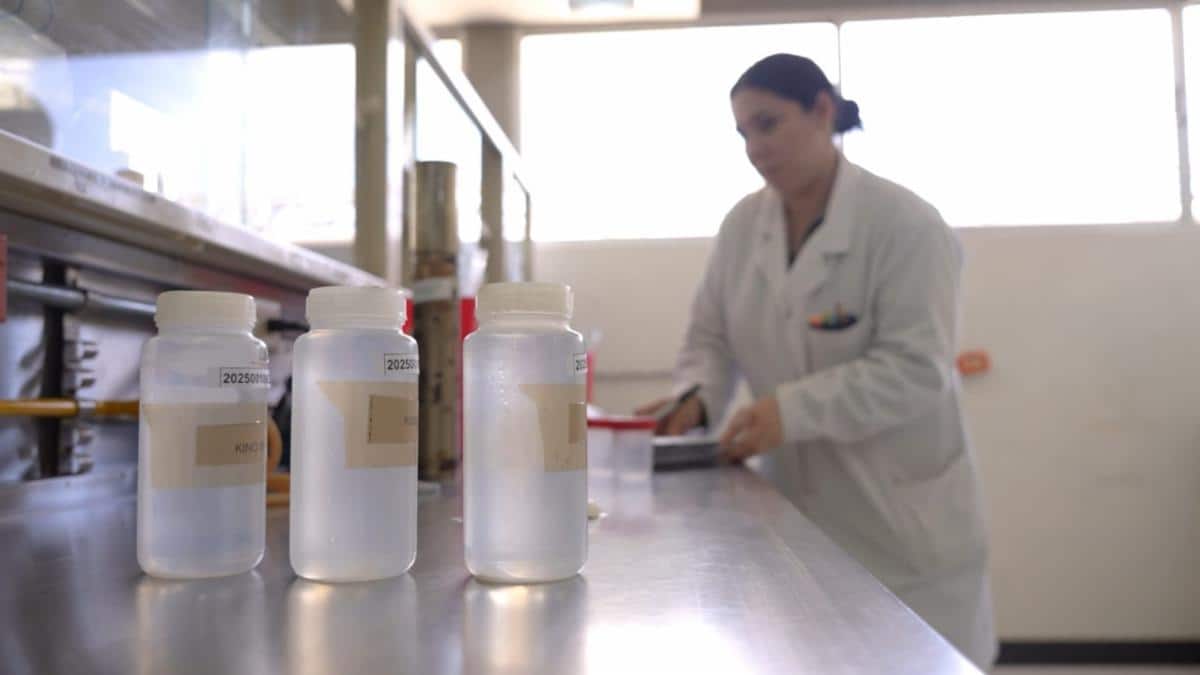 Mantiene Coesprisson vigilancia sanitaria en playas y albercas de Sonora
