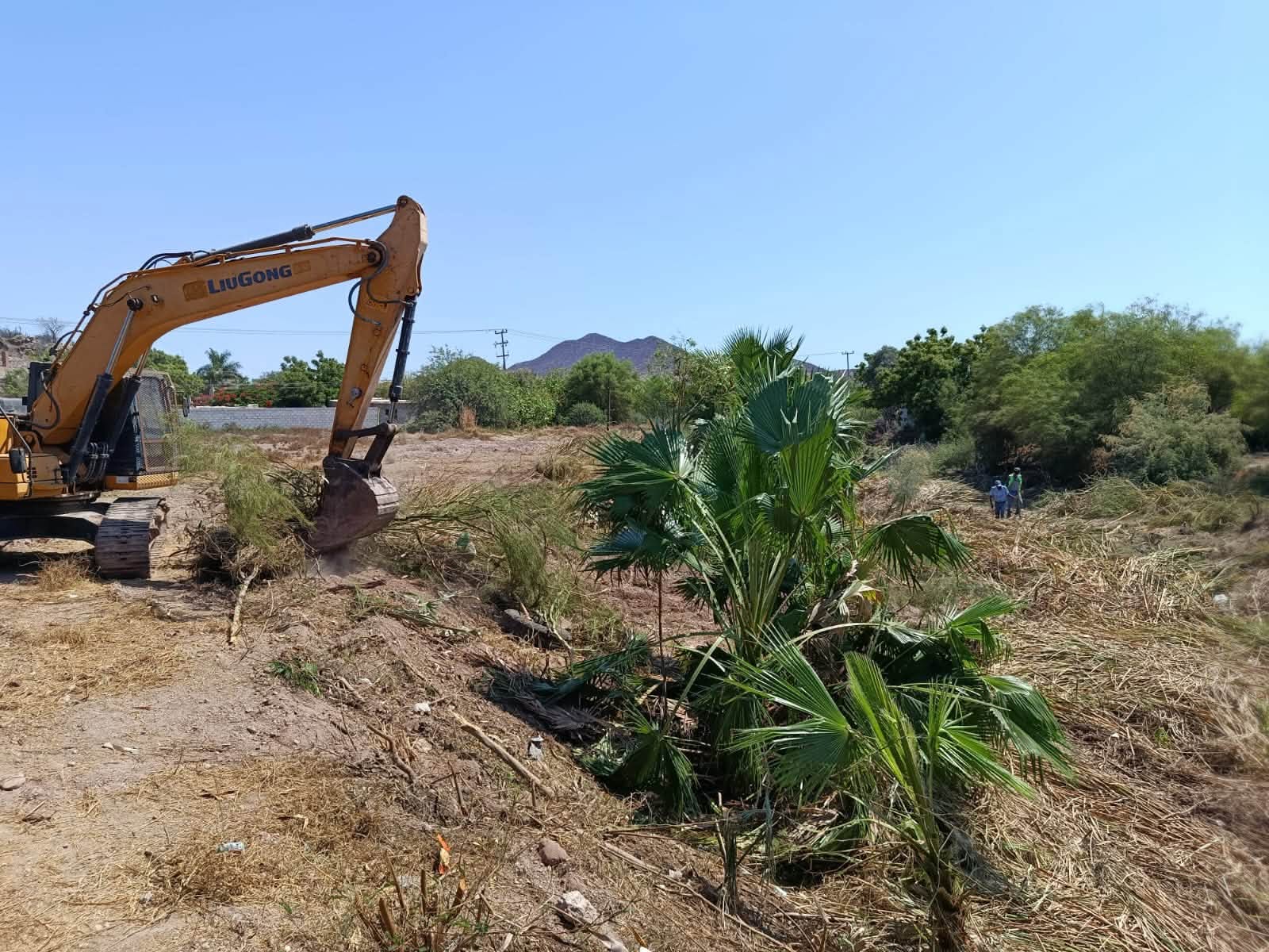 Avanza limpieza de arroyos en Guaymas