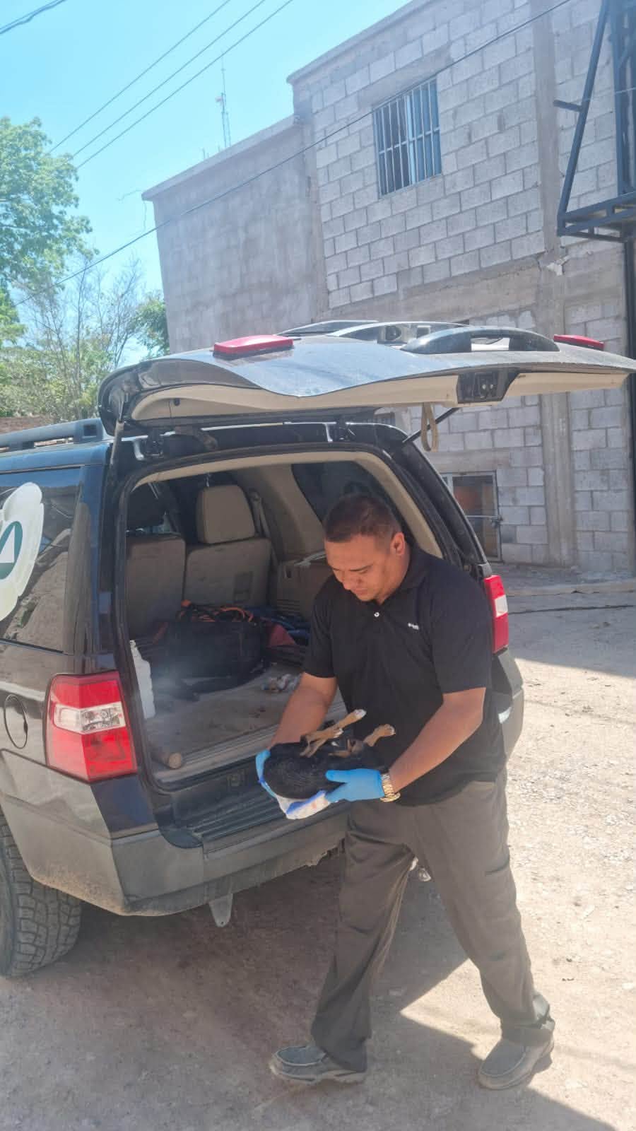 Ponen a salvo a mascota en el sector Libertad