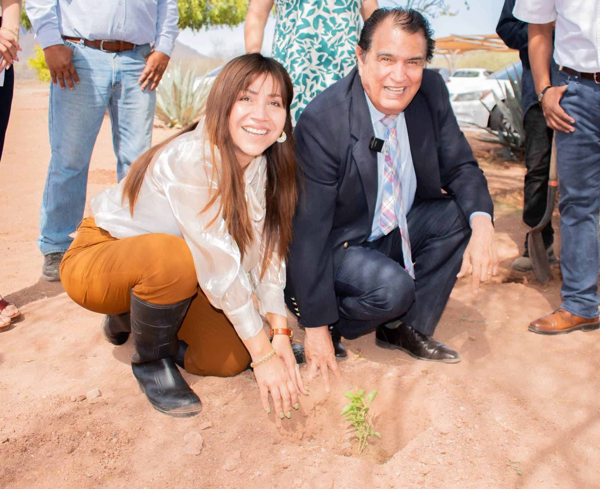 Suman 200 árboles plantados en Itson