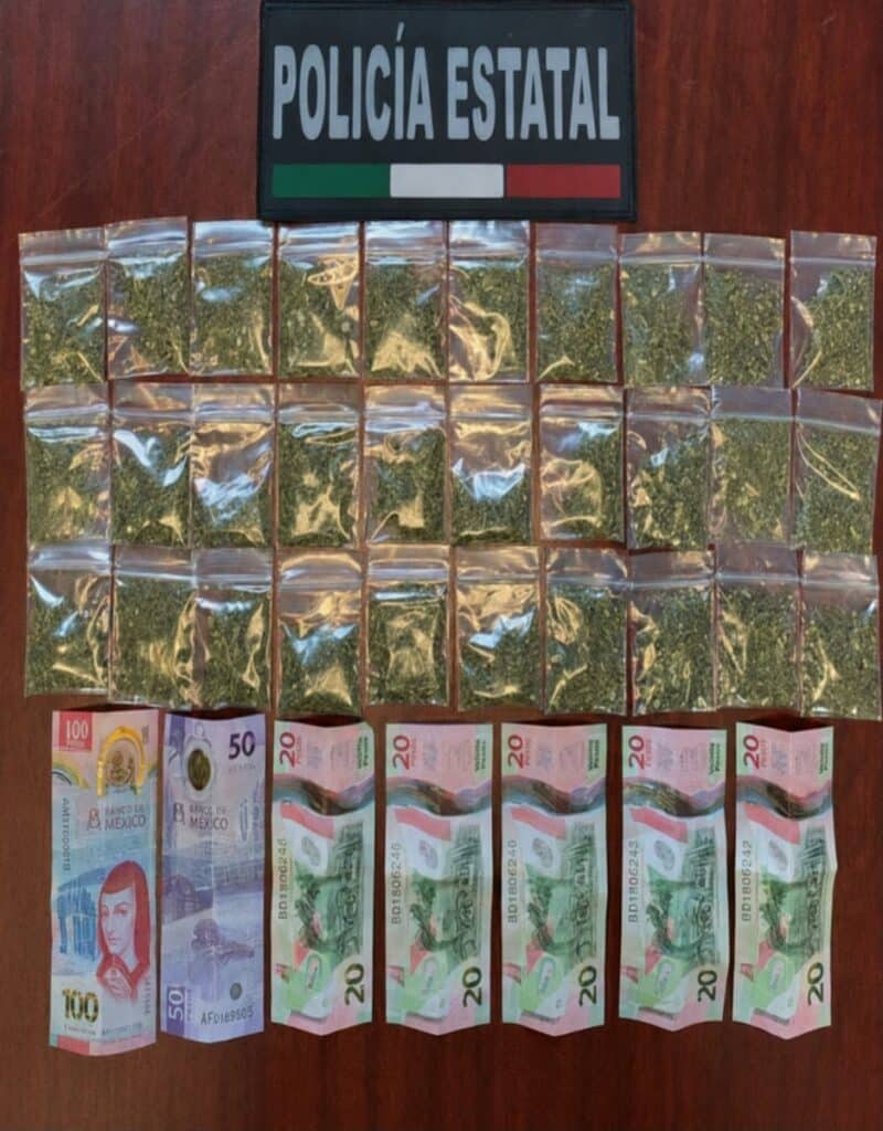 Policía Estatal incauta narcótico en operativo por colonias de Hermosillo 5 99